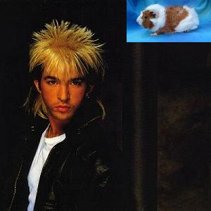 Limahl - Don't Suppose (1984)