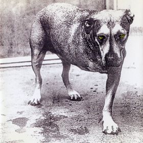 Alice in Chains - Alice in Chains (1995)
