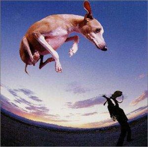 Paul Gilbert - Flying Dog (1999)