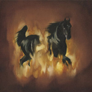 The Besnard Lakes  - The Besnard Lakes Are the Dark Horse (2007)
