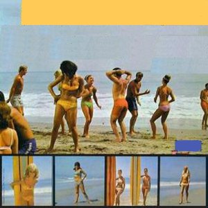 Various Artists – How To Stuff A Wild Bikini (original motion picture soundtrack) (1965)
