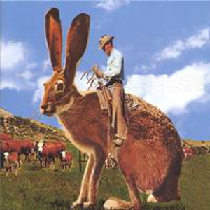 Before Braille - Cattle Punching on a Jack Rabbit (2003)