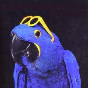 Graham Parker - The Real Macaw (1983)