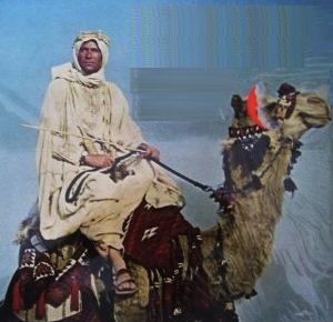 Alexander Maloof Orchestra - Original Theme From the Movie Lawrence of Arabia and the Music of the Orient (1962)